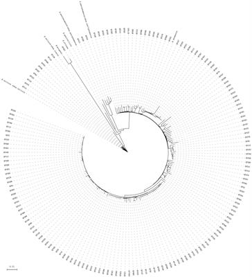 Class 1 integrons and multiple mobile genetic elements in clinical isolates of the Klebsiella pneumoniae complex from a tertiary hospital in eastern China